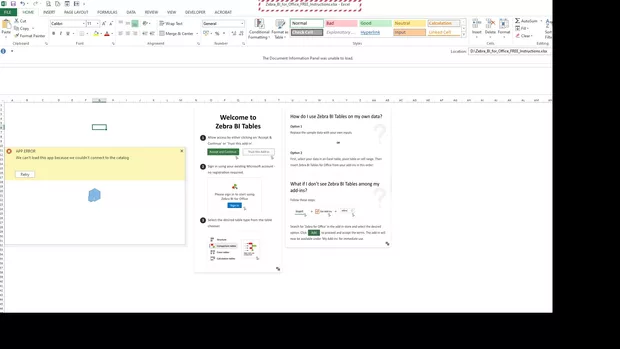 Екранна снимка към: Как се работи с Zebra BI в Excel?